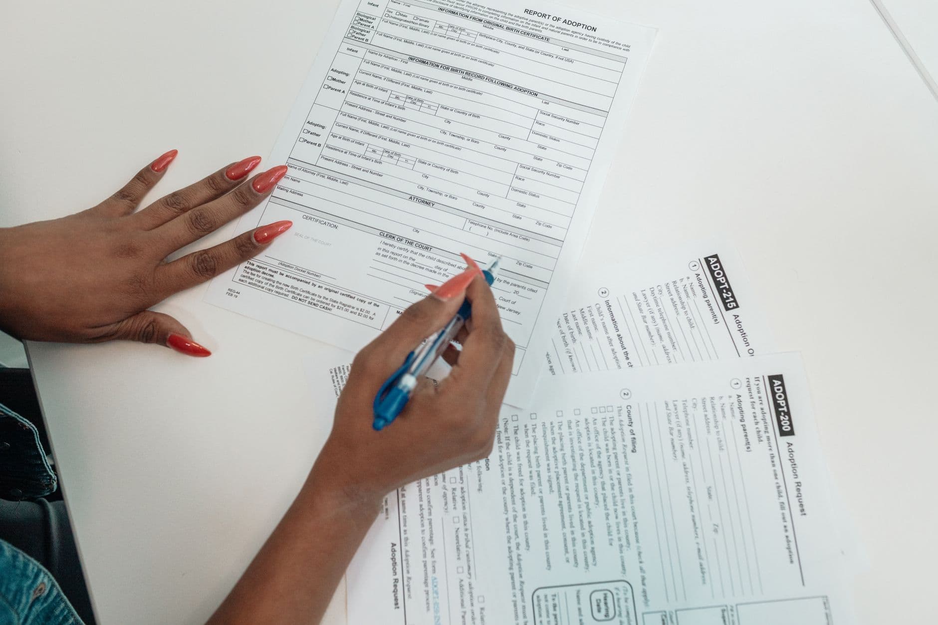Anthropic Agents Tried to Fill Out Visa Forms on State Dept. Website