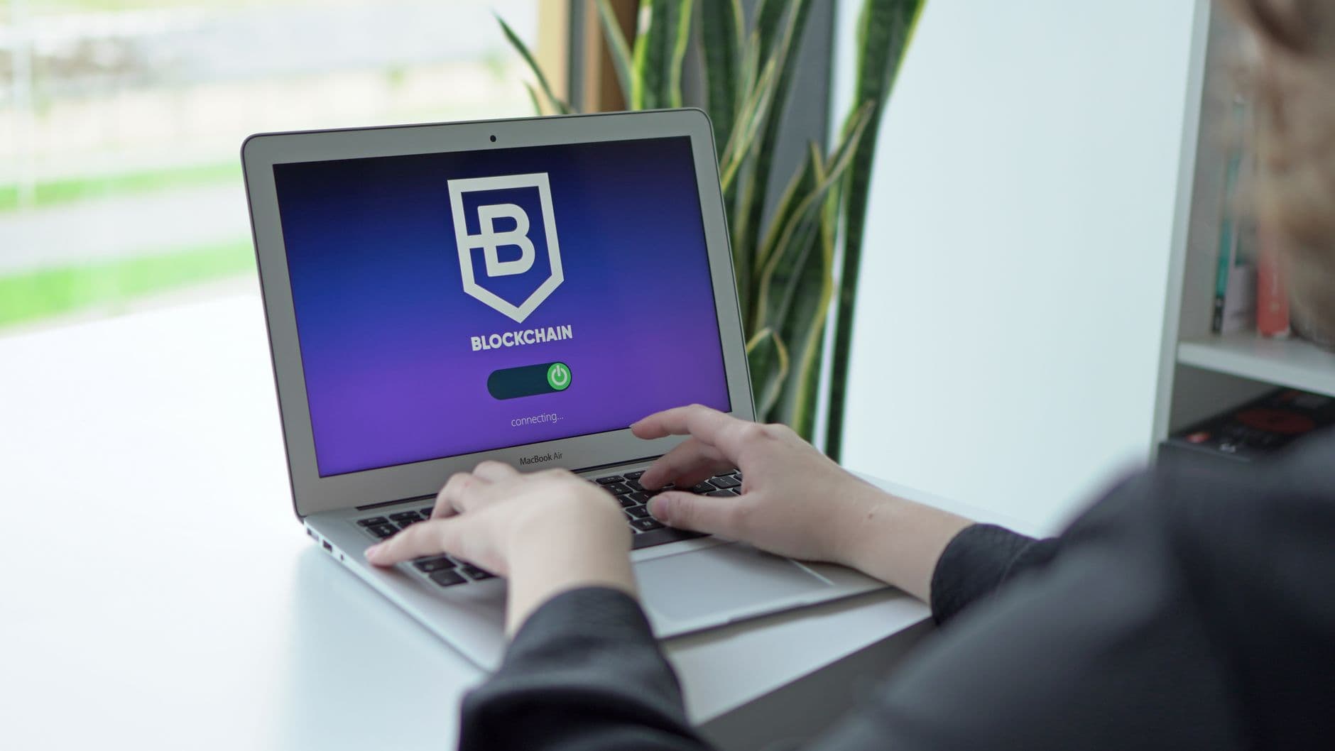 أنيموكا براندز تحصل على رخصة عملات رقمية في دبي للخدمات المؤسسية
